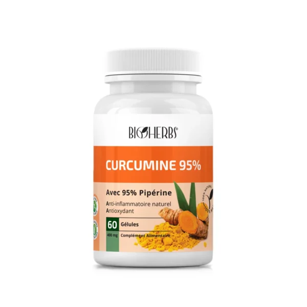 BIOHERBS CURCUMINE 95% BT60