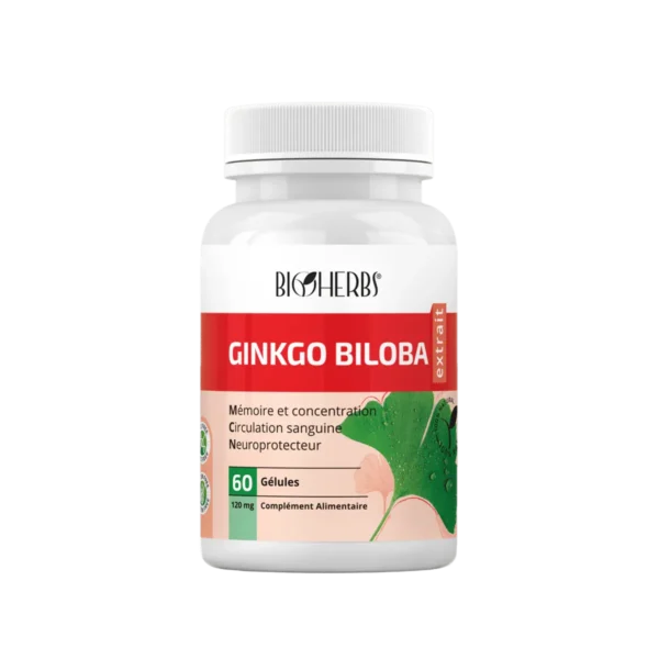 BIOHERBS GINKGO BILOBA BT60