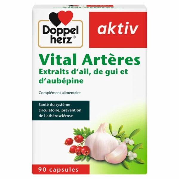 AKTIV VITAL ARTERES BT/90 GELLULES