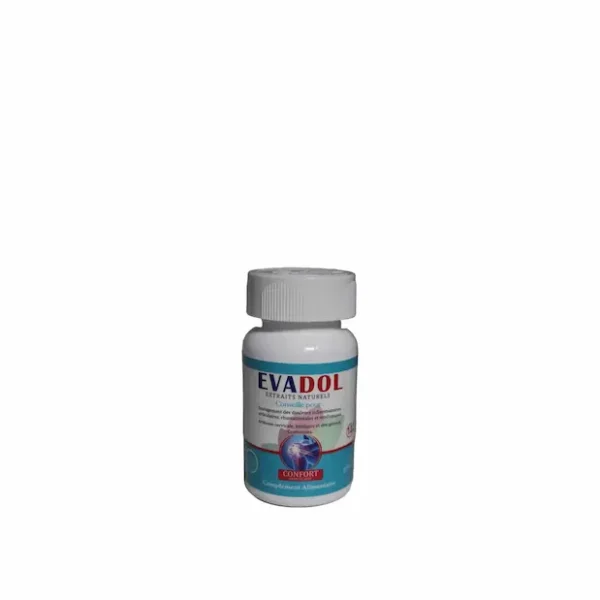 EVADOL CONFORT ARTICULAIRE B/20