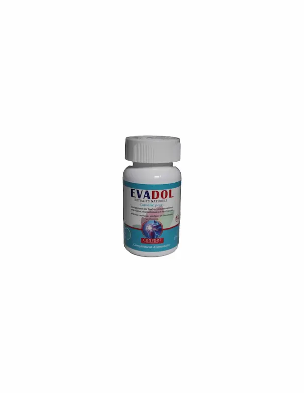 EVADOL CONFORT ARTICULAIRE B/20